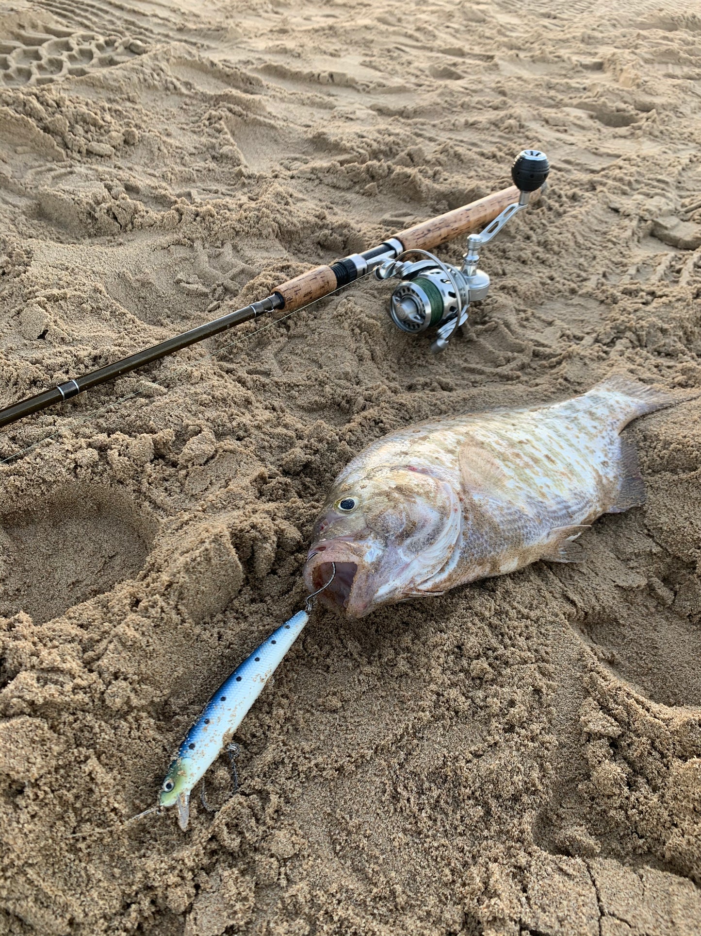CALISSA 110 SURF SUSPENDING MINNOWS